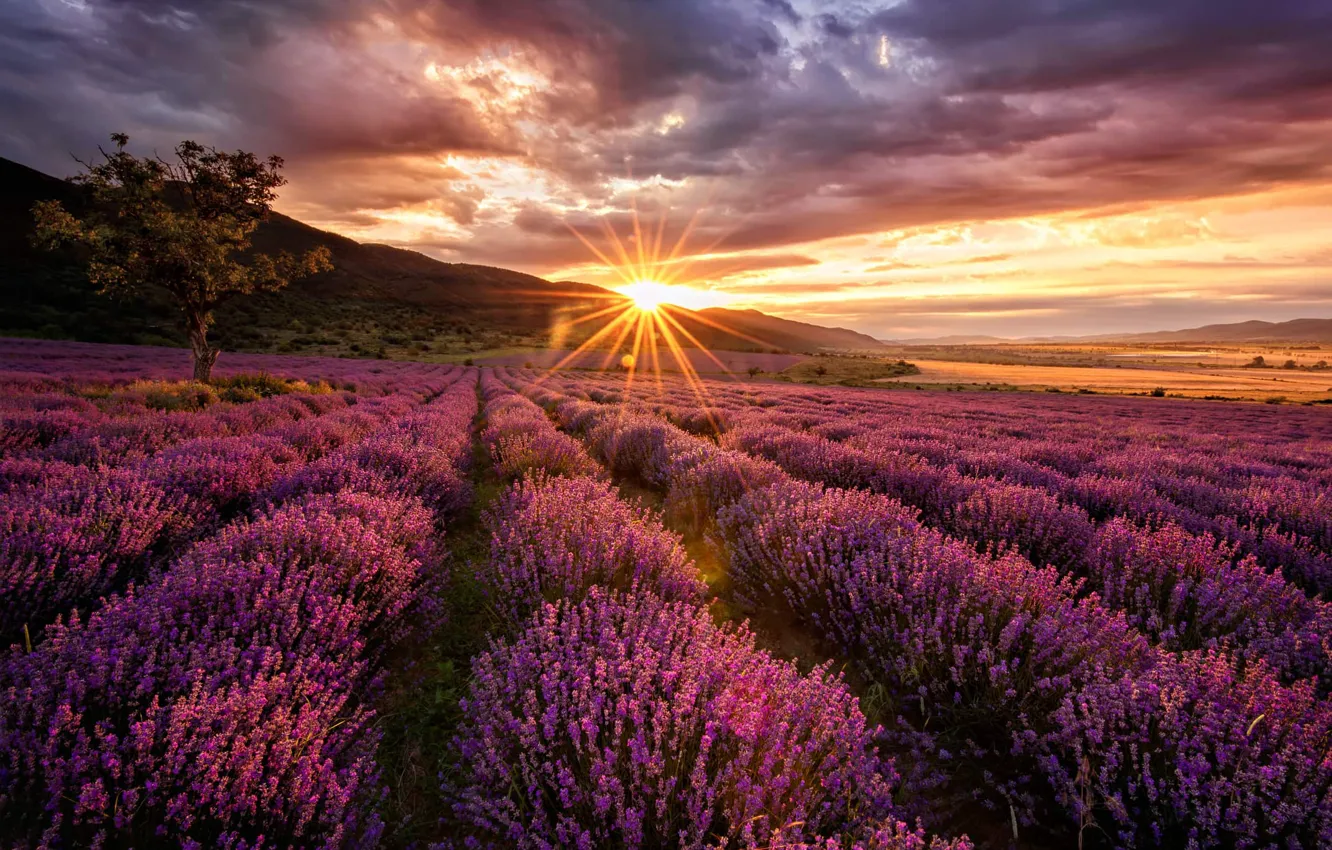 Photo wallpaper sunset, a number, lavender