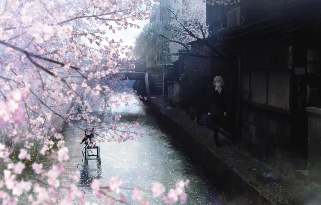 Photo wallpaper bridge, street, home, Sakura, ladder, channel, Schoolgirl, flowering