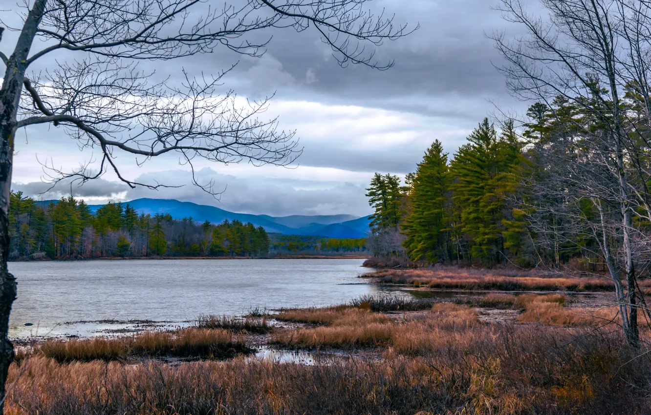 Photo wallpaper autumn, forest, the sky, clouds, trees, mountains, branches, clouds