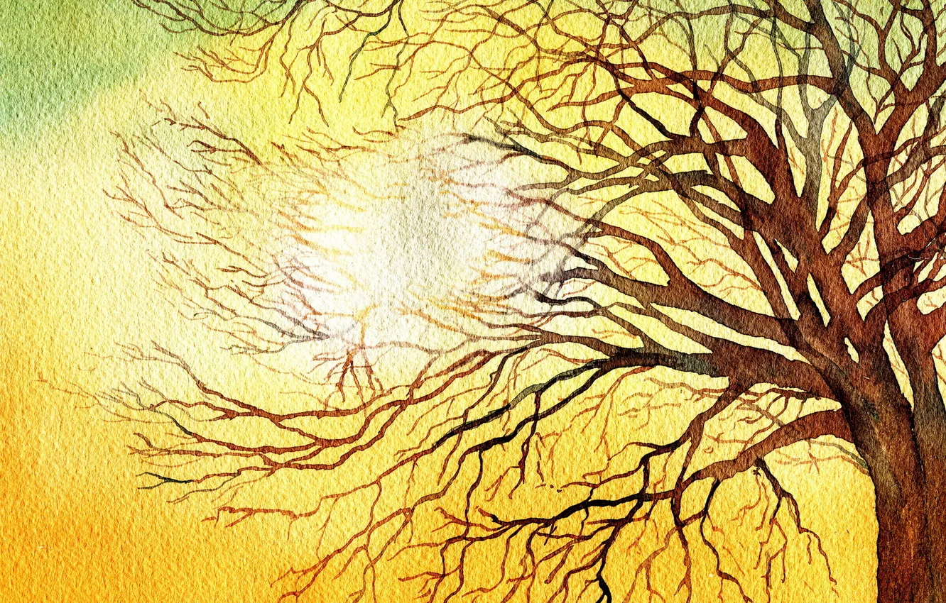 Photo wallpaper light, tree, picture, watercolor