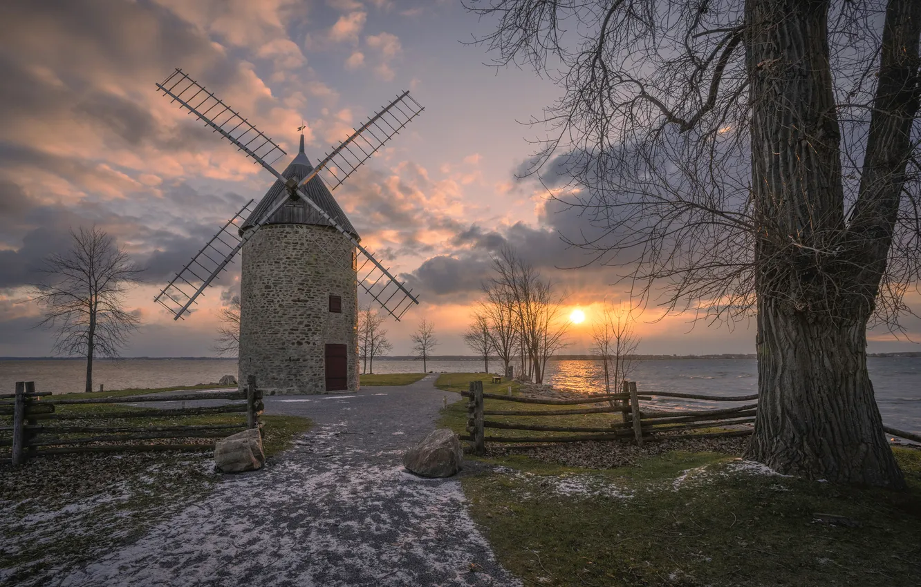 Photo wallpaper trees, sunset, windmill