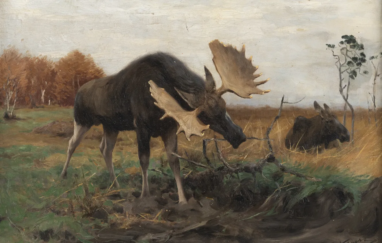 Photo wallpaper swamp, picture, horns, two, moose, Friedrich Wilhelm Kunert, German painter, Friedrich Wilhelm Kuhnert