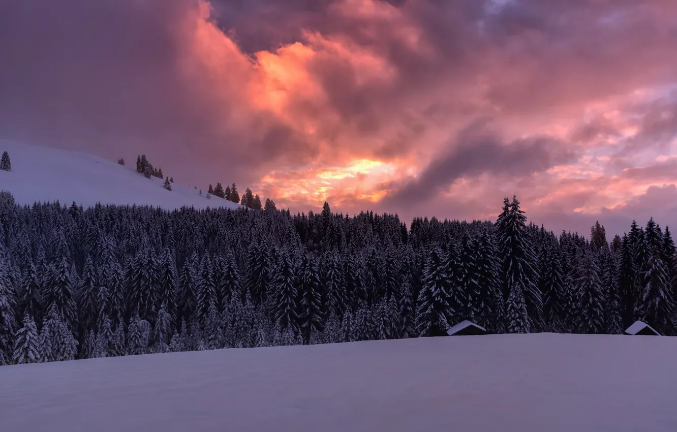Photo wallpaper winter, snow, sunset