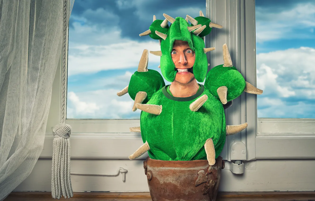 Photo wallpaper flowers, man, cactus, window, humor