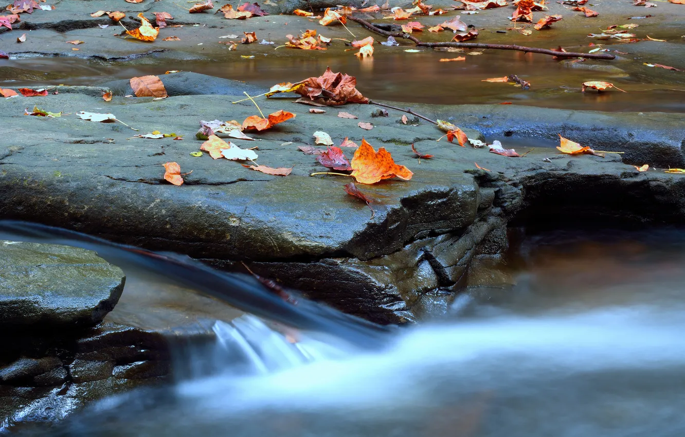 Photo wallpaper autumn, leaves, rock, river, stream, stones