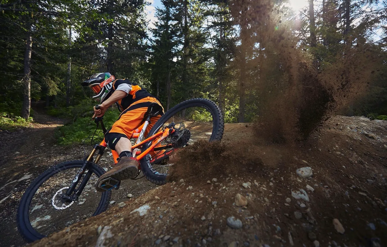 Photo wallpaper forest, bike, great, jump, downhill, downhill, the trick