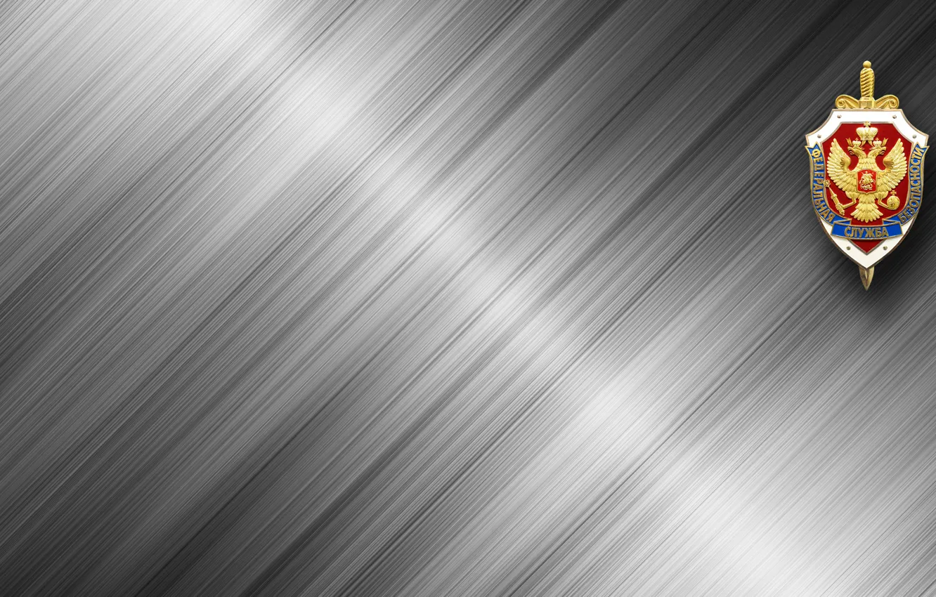 Photo wallpaper metal, background, Wallpaper, steel, silver, Russia, coat of arms, background