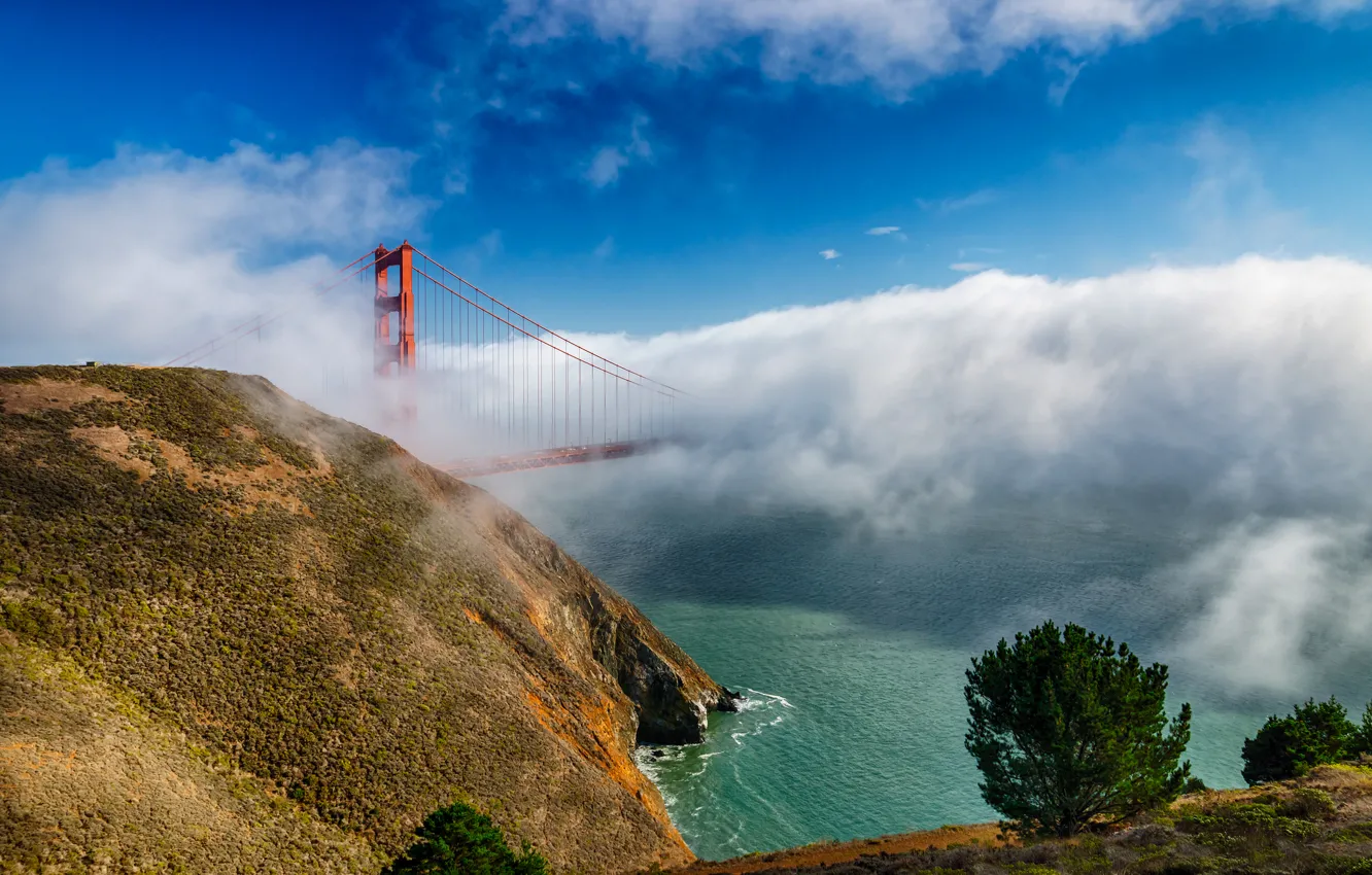 Photo wallpaper clouds, bridge, fog, CA, San Francisco, Golden gate