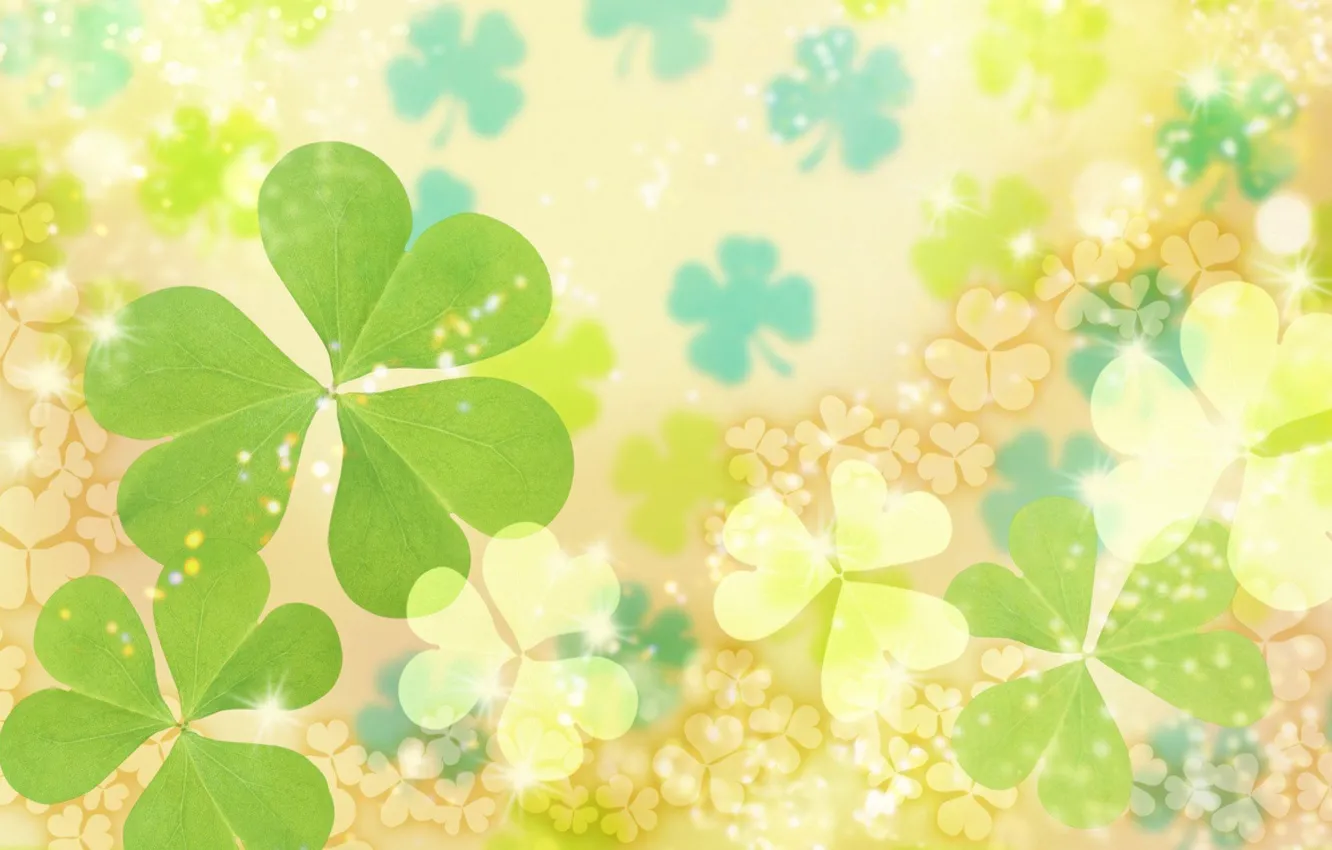 Photo wallpaper plant, color, clover