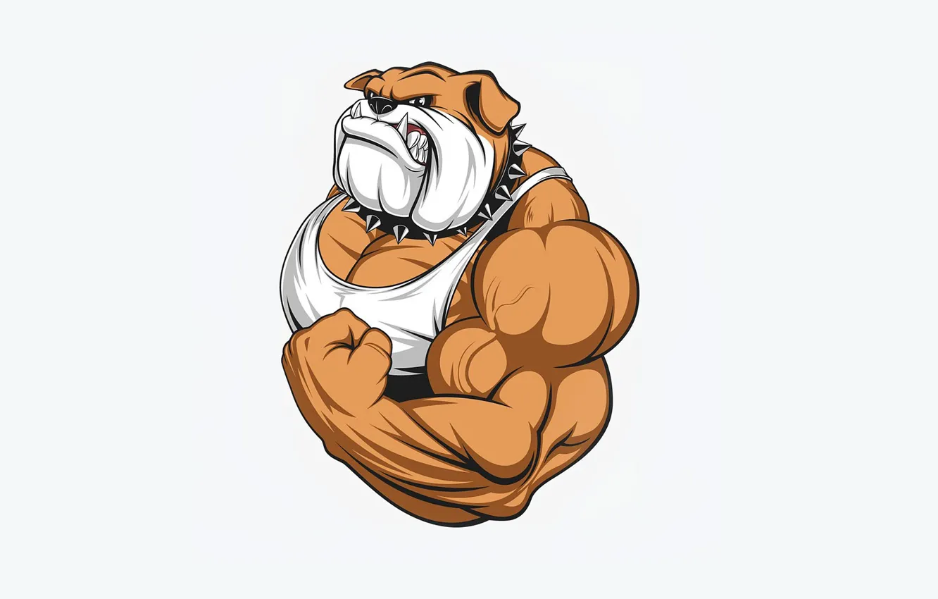 Photo wallpaper dog, mouth, fangs, muscle, biceps