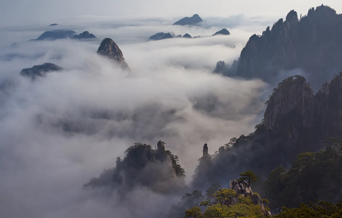 Photo wallpaper the sky, clouds, trees, mountains, nature, fog, rocks