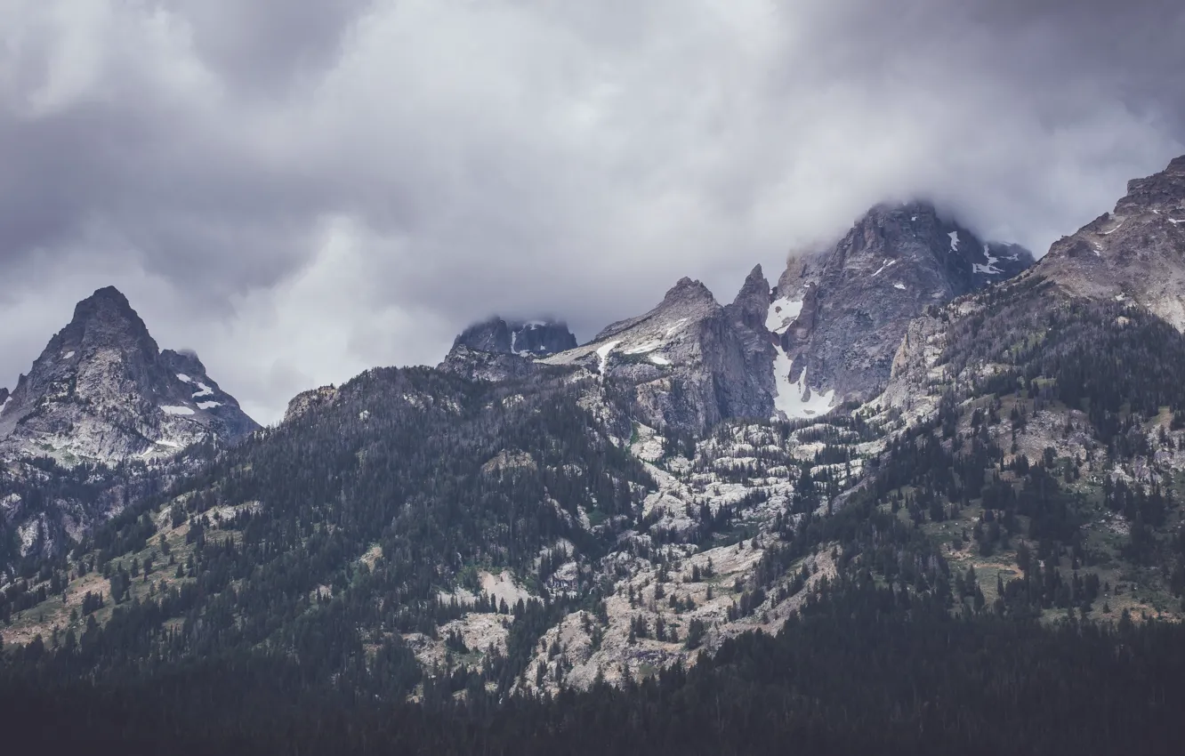 Photo wallpaper the sky, trees, mountains, clouds, nature, overcast, rocks
