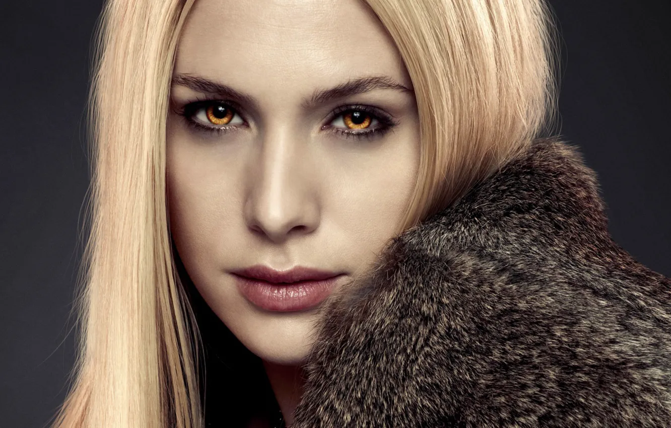 Wallpaper girl, actress, blonde, vampire, The Twilight Saga Dawn, The