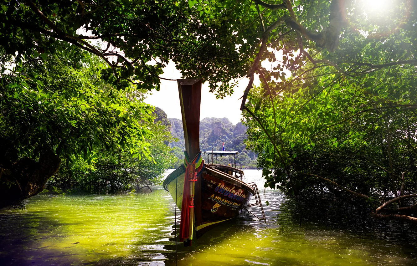 Photo wallpaper water, trees, boat, Thailand, jugnle