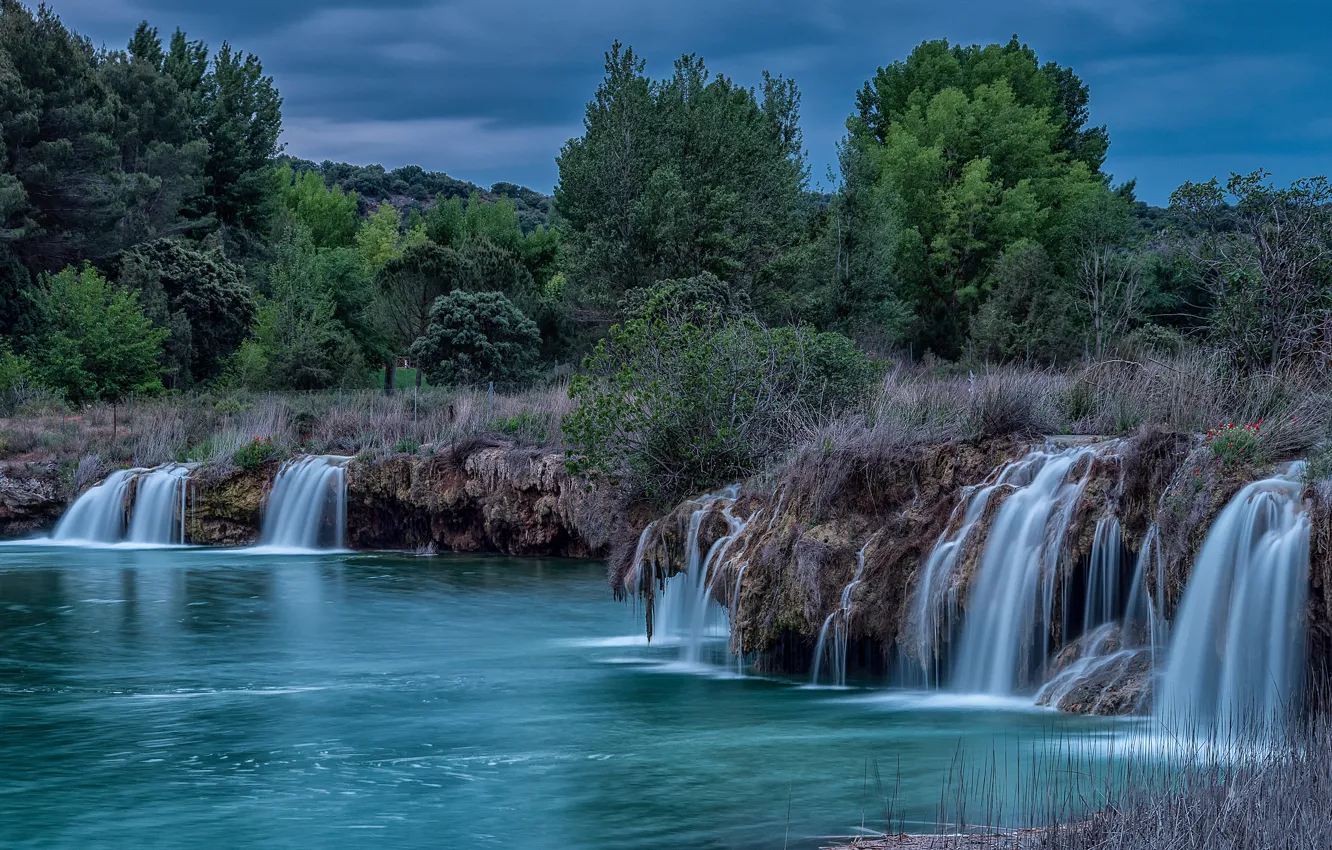 Photo wallpaper summer, the sky, grass, trees, river, thickets, shore, vegetation