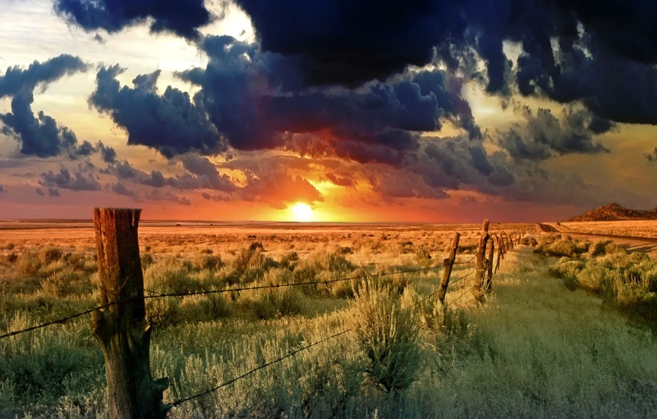 Photo wallpaper field, the sun, clouds, the fence