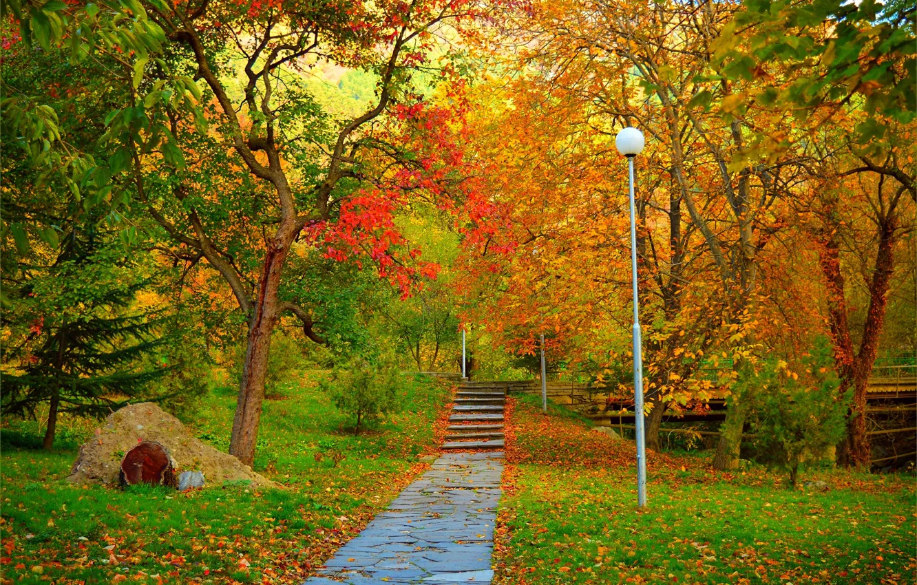 Photo wallpaper autumn, trees, Park, foliage, colors, track, trees, park