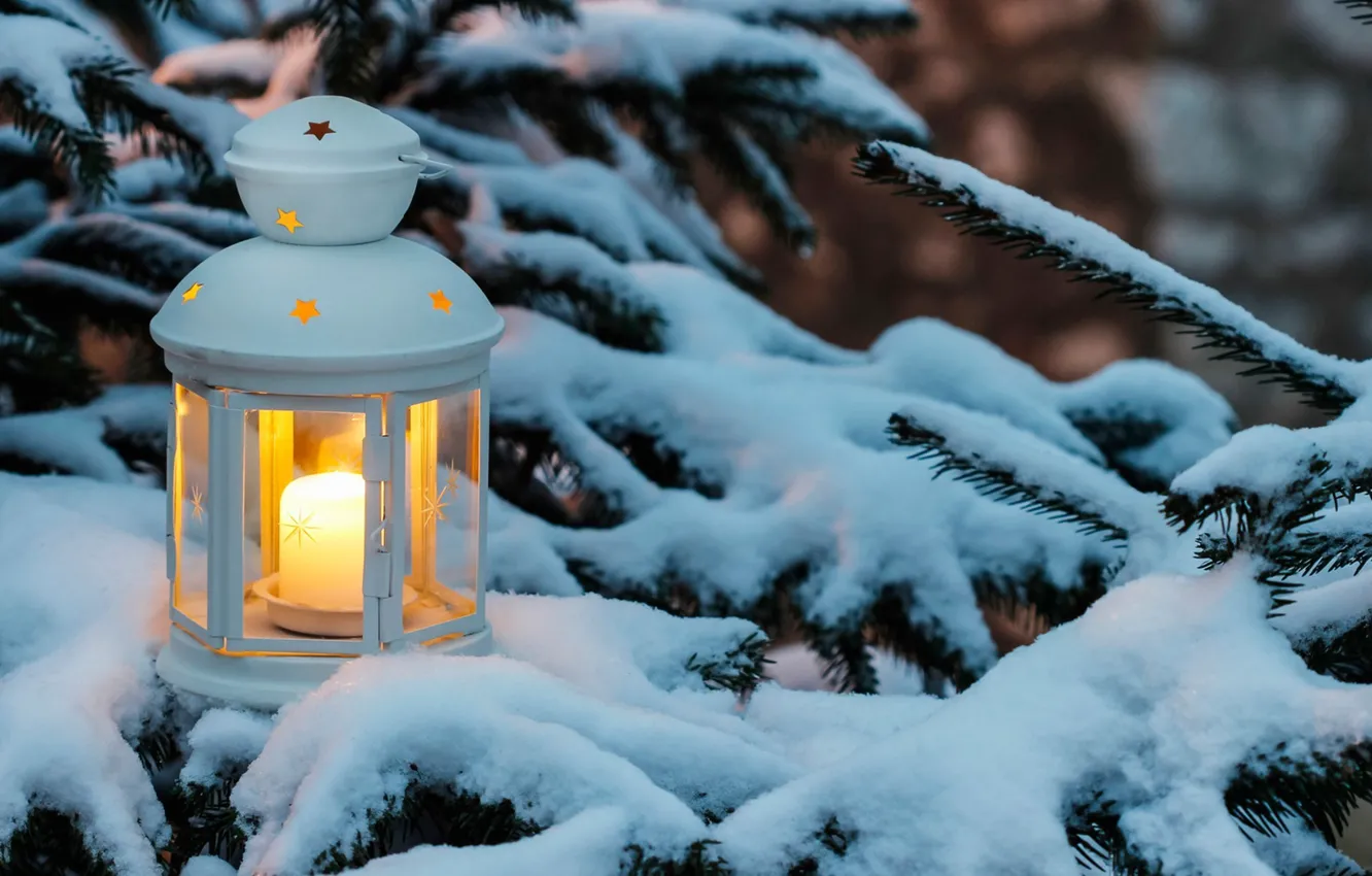 Photo wallpaper snow, tree, lantern, candle