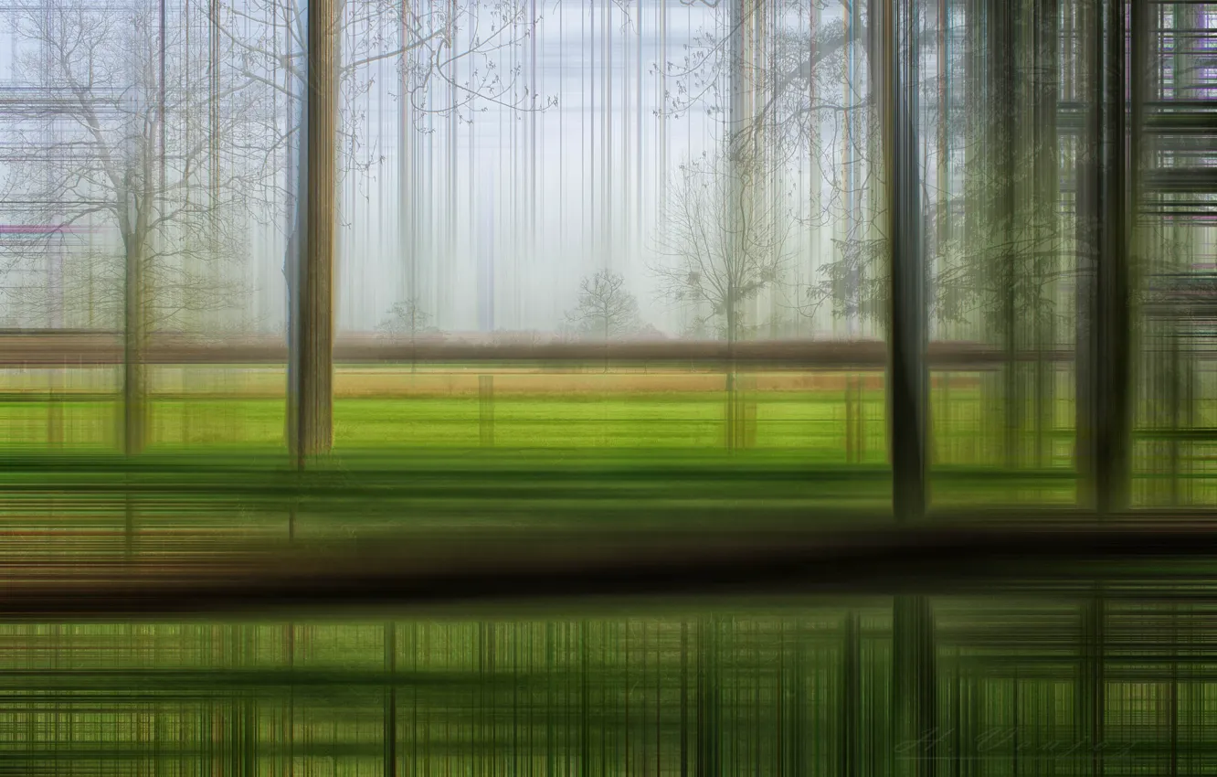 Photo wallpaper grass, trees, movement