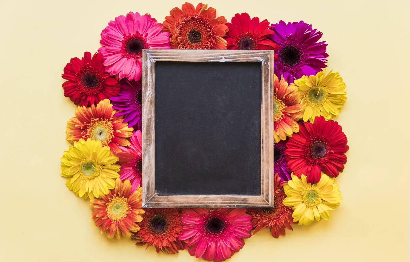 Photo wallpaper flowers, frame, chrysanthemum, wood, flowers, spring, bright