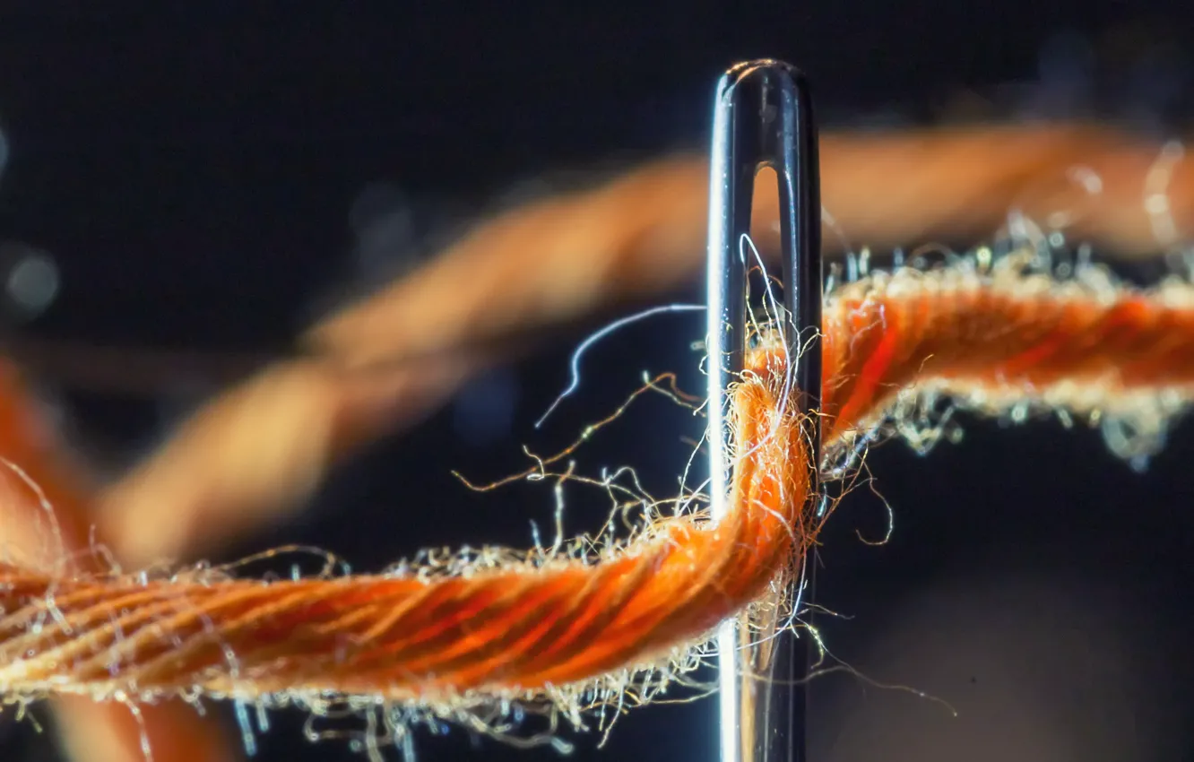 Photo wallpaper macro, needles, thread