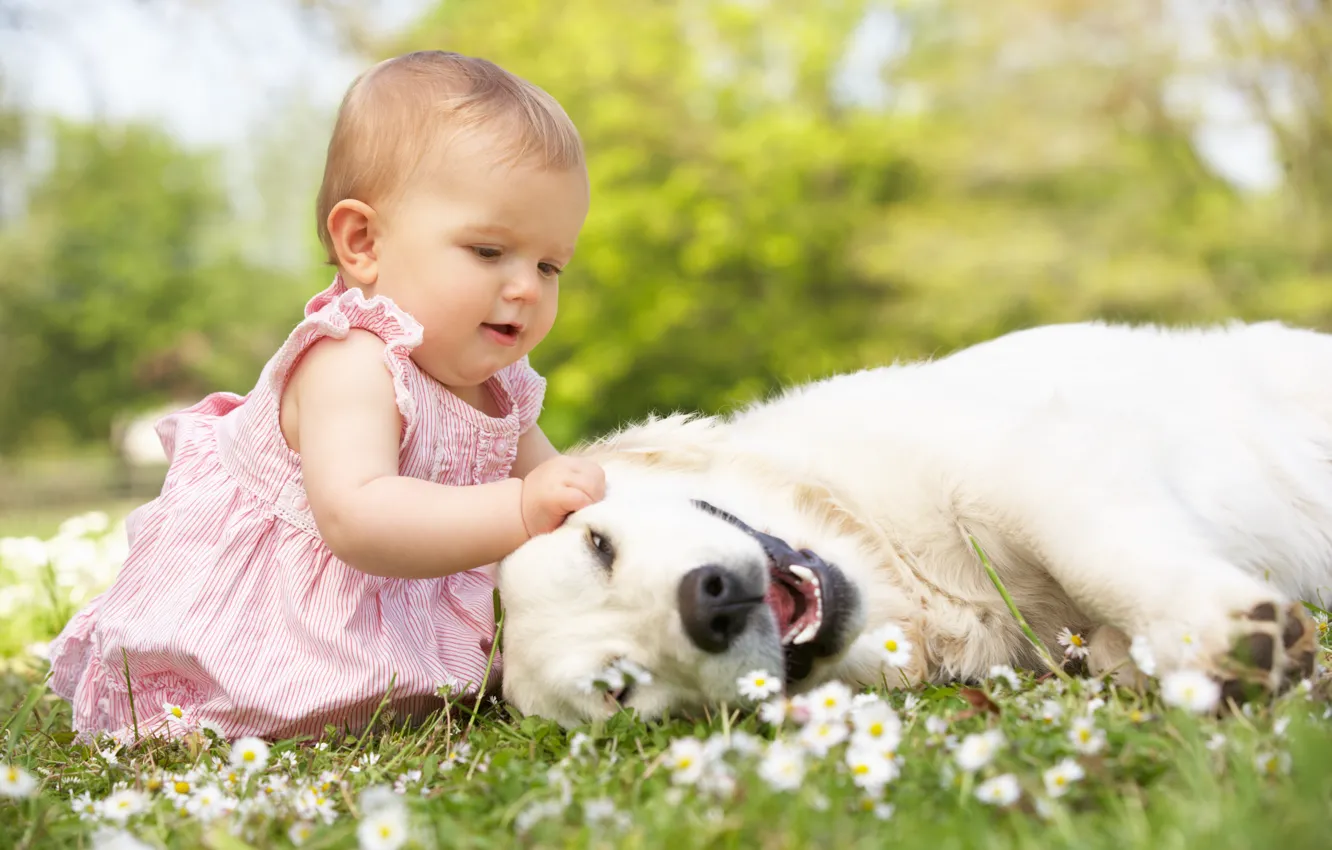 Photo wallpaper grass, joy, flowers, children, childhood, the game, dog, play