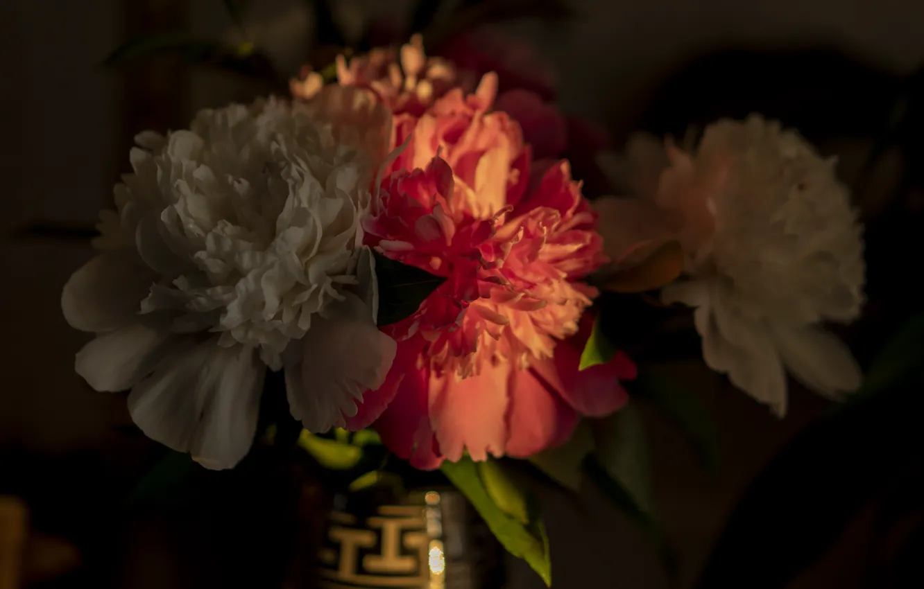 Photo wallpaper light, twilight, vase, peonies, and
