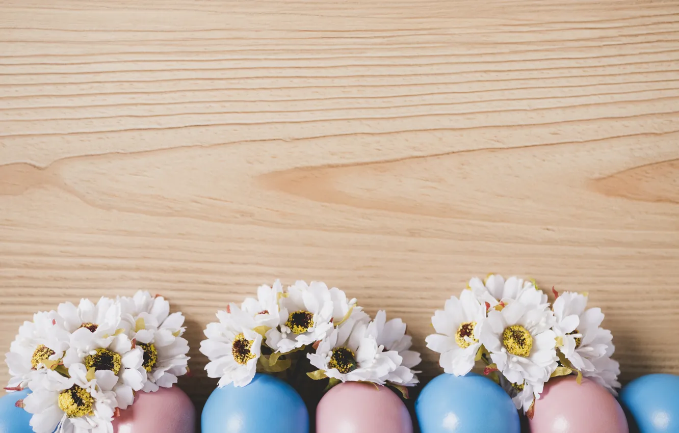 Photo wallpaper eggs, Easter, Holiday, chrysanthemum