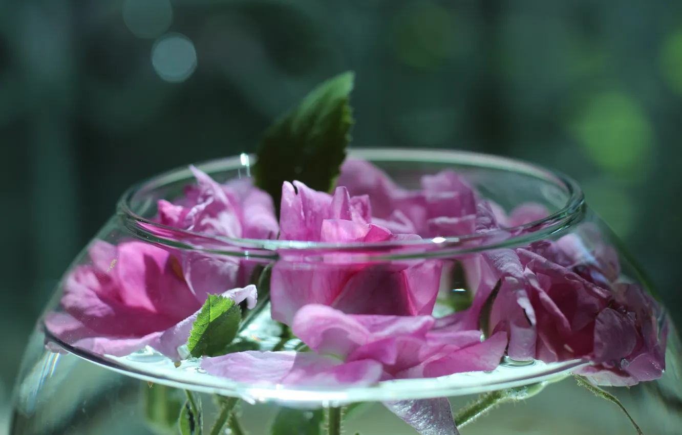 Photo wallpaper glass, flowers, aquarium, roses, vessel