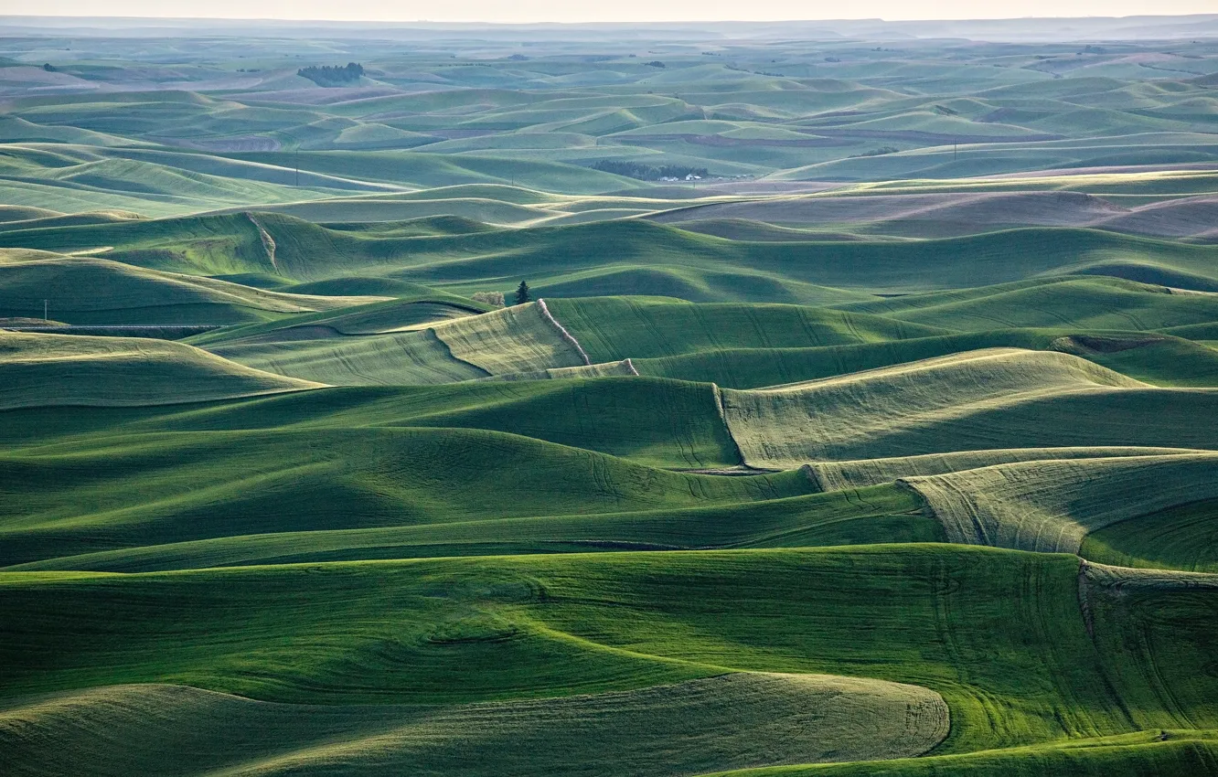 Photo wallpaper field, nature, view, panorama