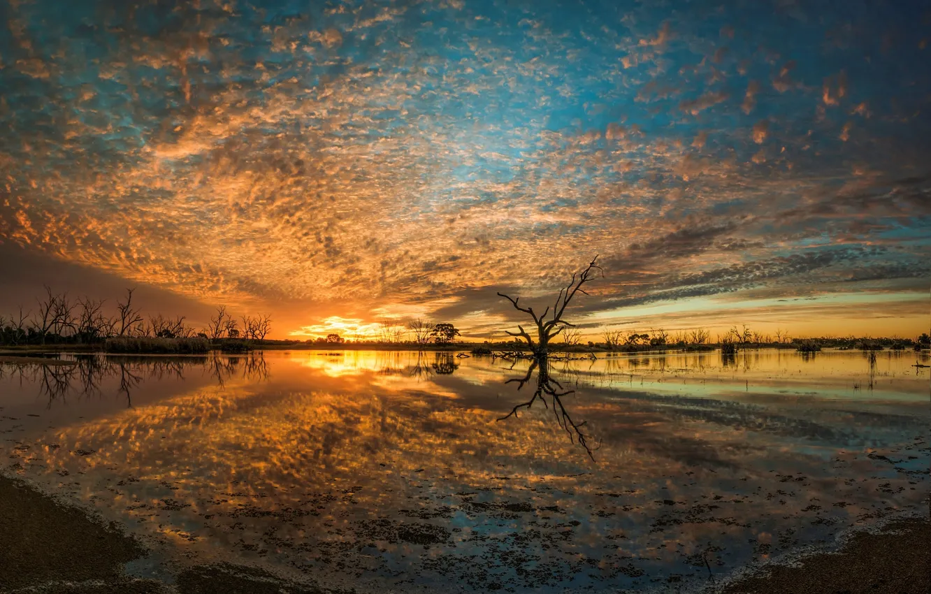 Photo wallpaper landscape, sunset, nature, river, Australia, Campbell's Swamp, Lake Wyangan