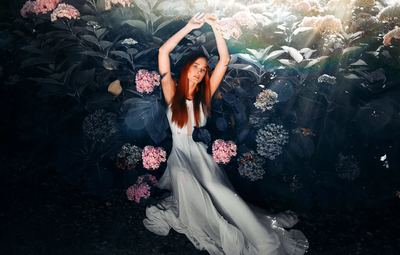 Photo wallpaper girl, flowers, nature, hydrangea