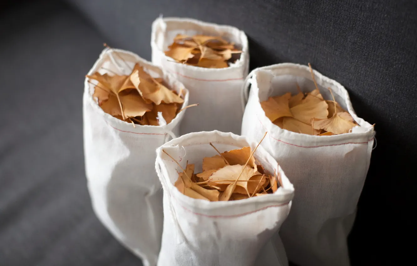 Photo wallpaper autumn, leaves, bag