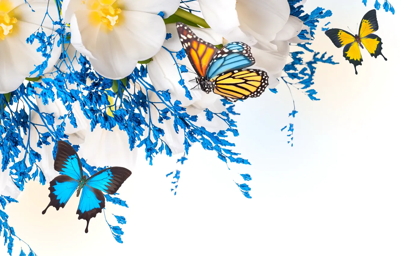 Photo wallpaper flowers, collage, butterfly, wings, petals, tulips, moth
