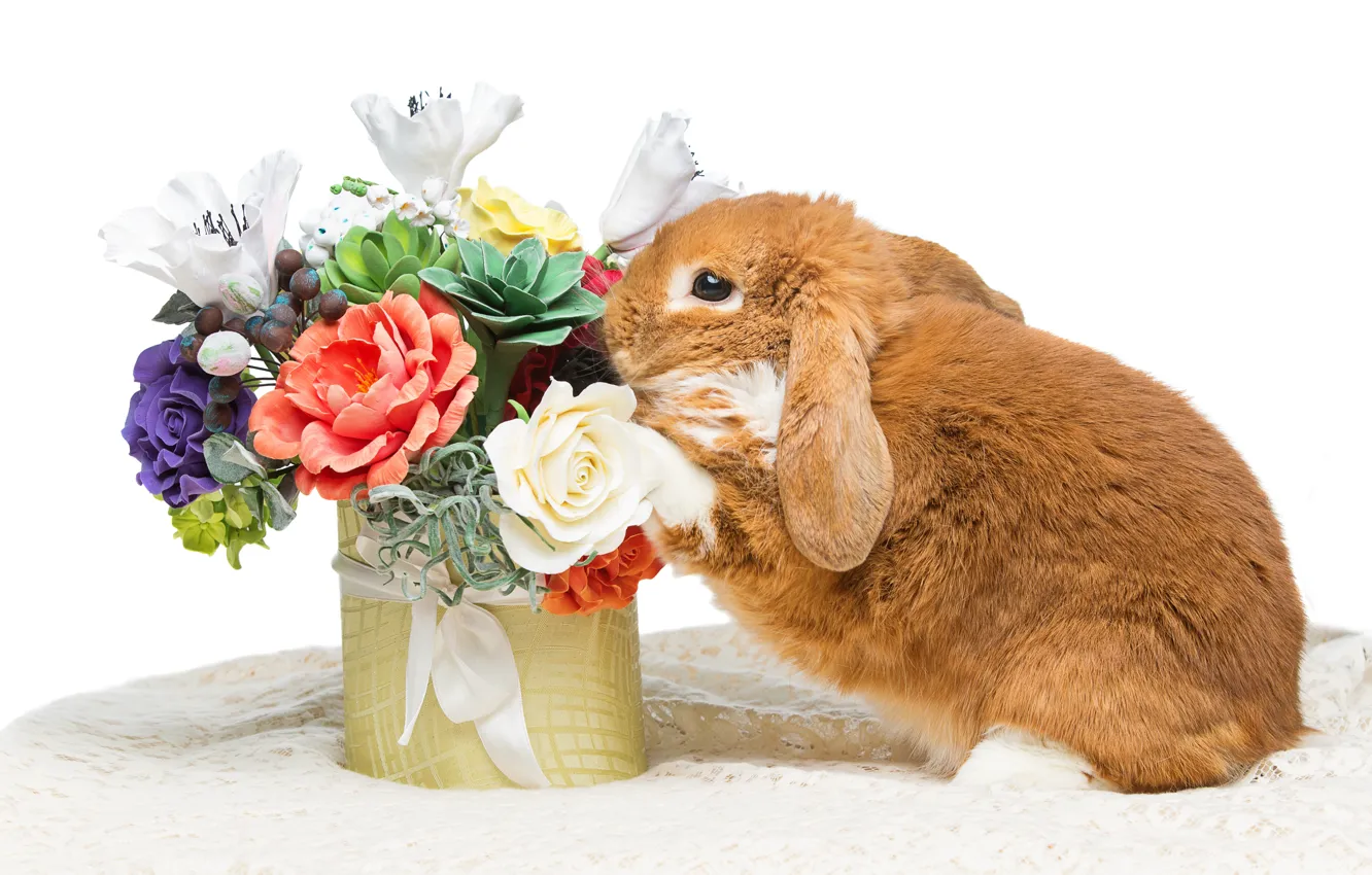 Photo wallpaper flowers, rabbit, Easter, happy, rabbit, flowers, spring, Easter