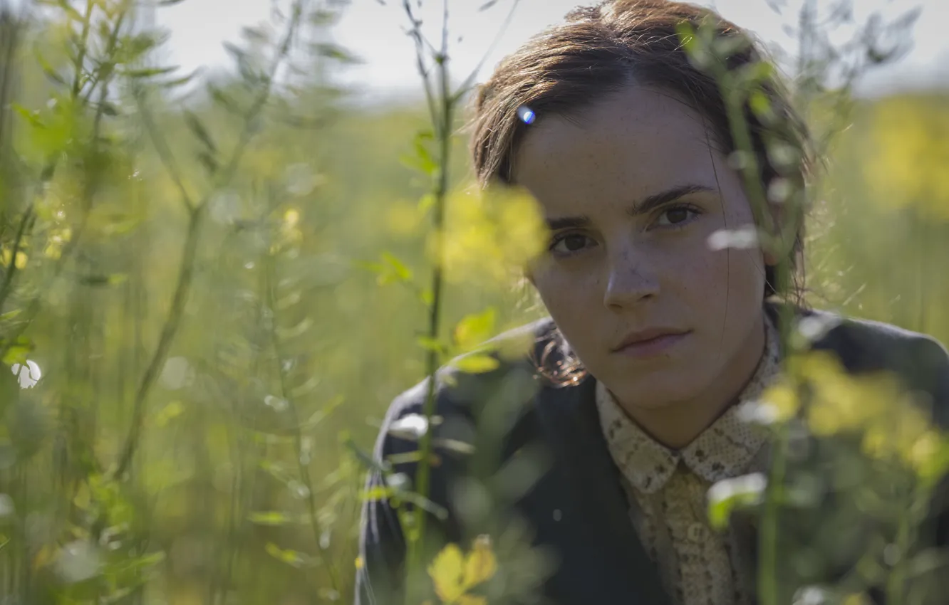 Photo wallpaper field, summer, grass, the film, dandelions, Emma Watson, emma watson, colony Dignidad