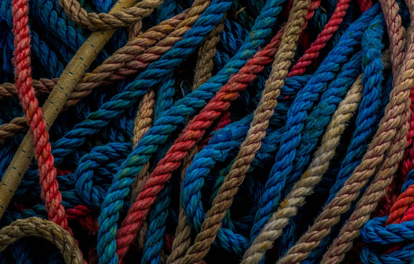Photo wallpaper paint, rope, rope