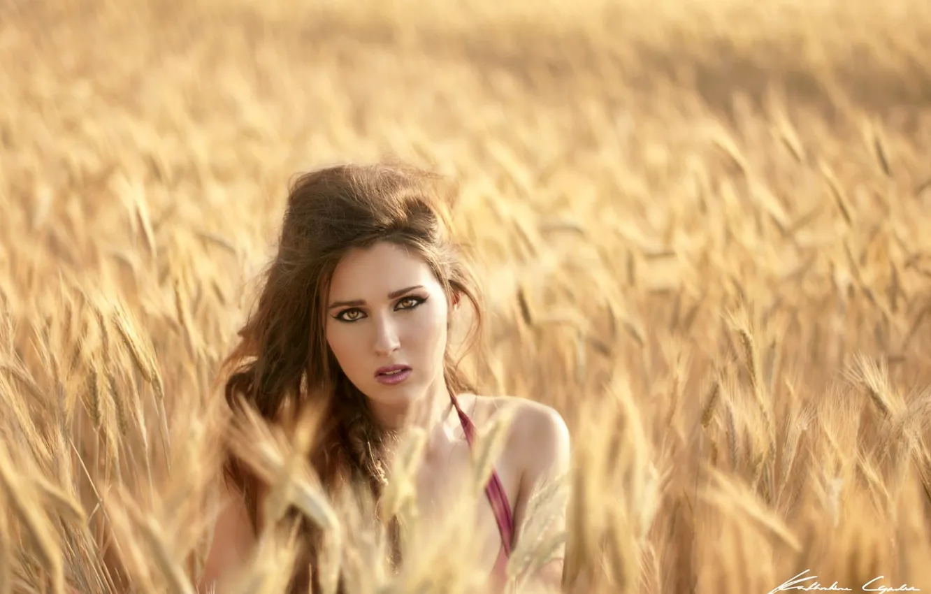 Photo wallpaper field, look, the sun, model, portrait, makeup, hairstyle, ears