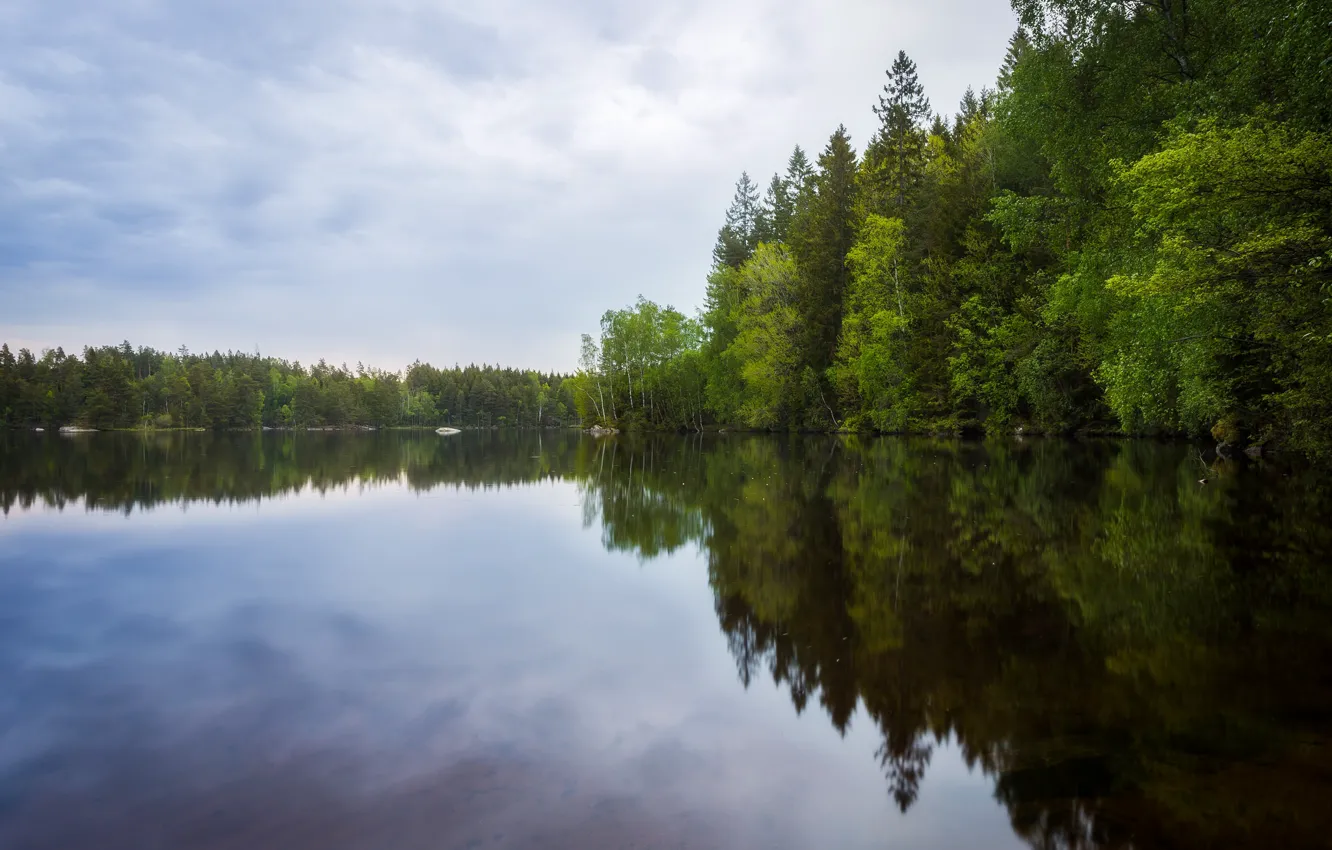 Photo wallpaper forest, the sky, lake, reflection