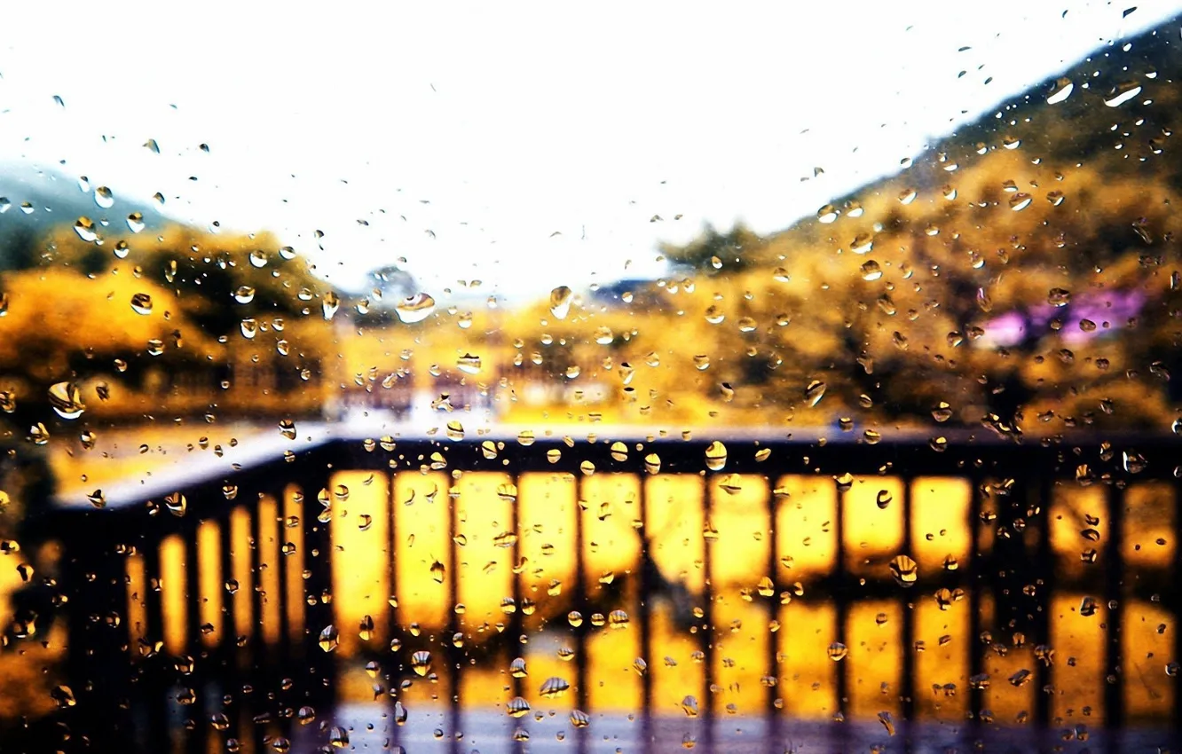 Photo wallpaper autumn, glass, drops, rain