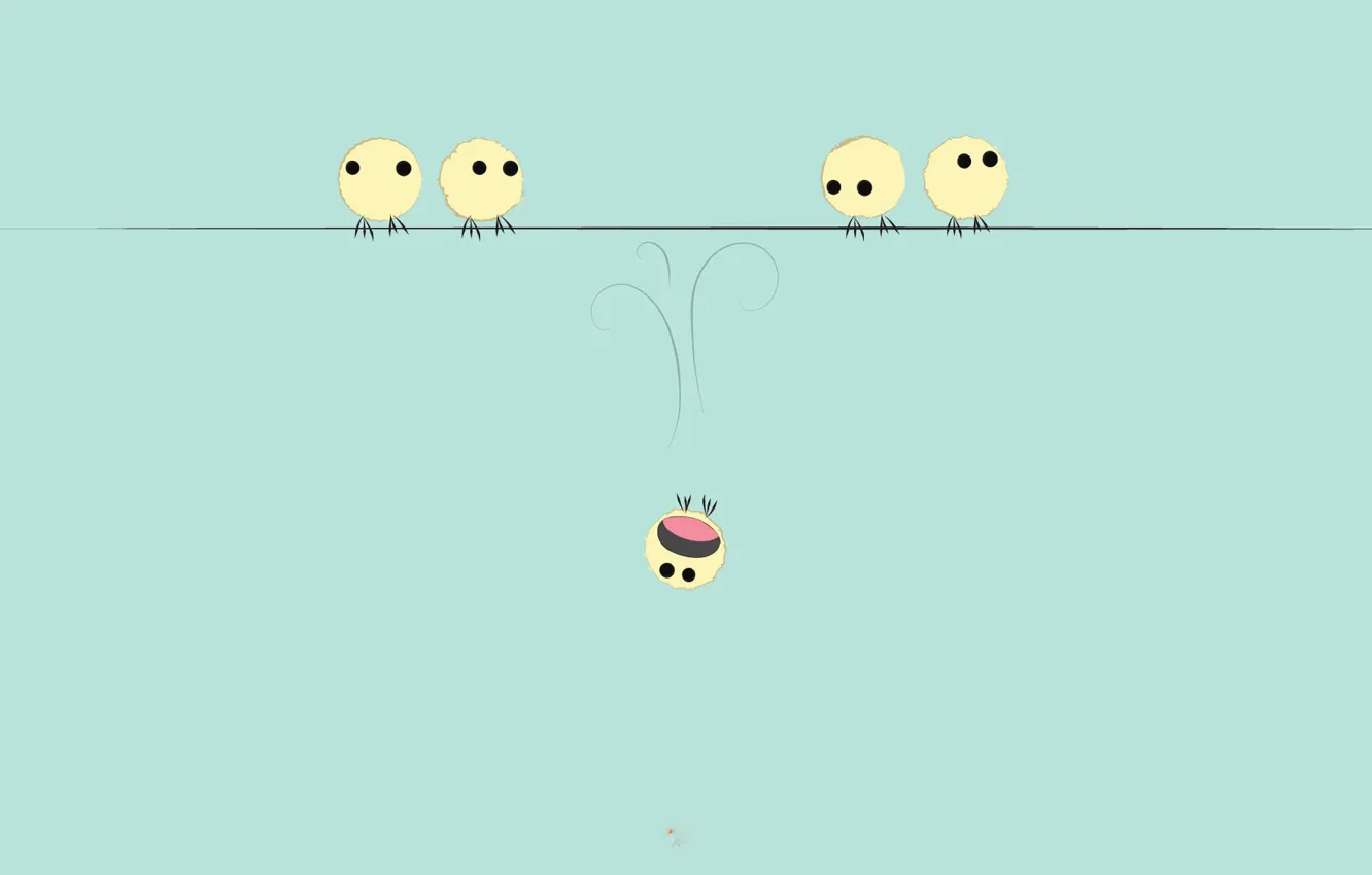 Photo wallpaper wire, drop, bird, Creek, power lines