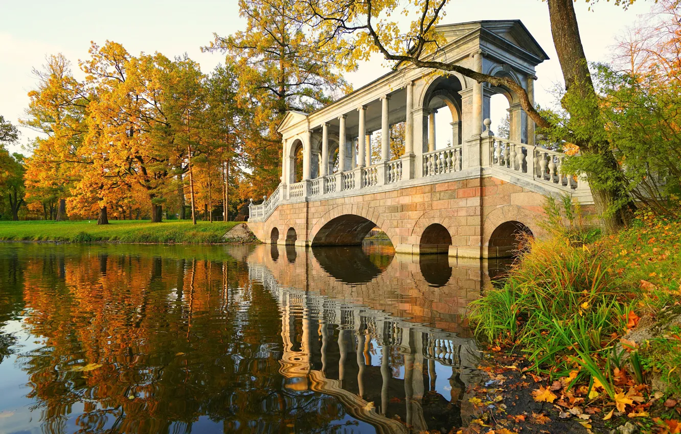 Photo wallpaper autumn, landscape, bridge, nature, pond, Park, Pushkin, Tsarskoye Selo