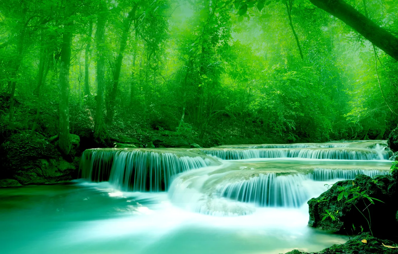 Photo wallpaper greens, water, trees, stones, foliage, River