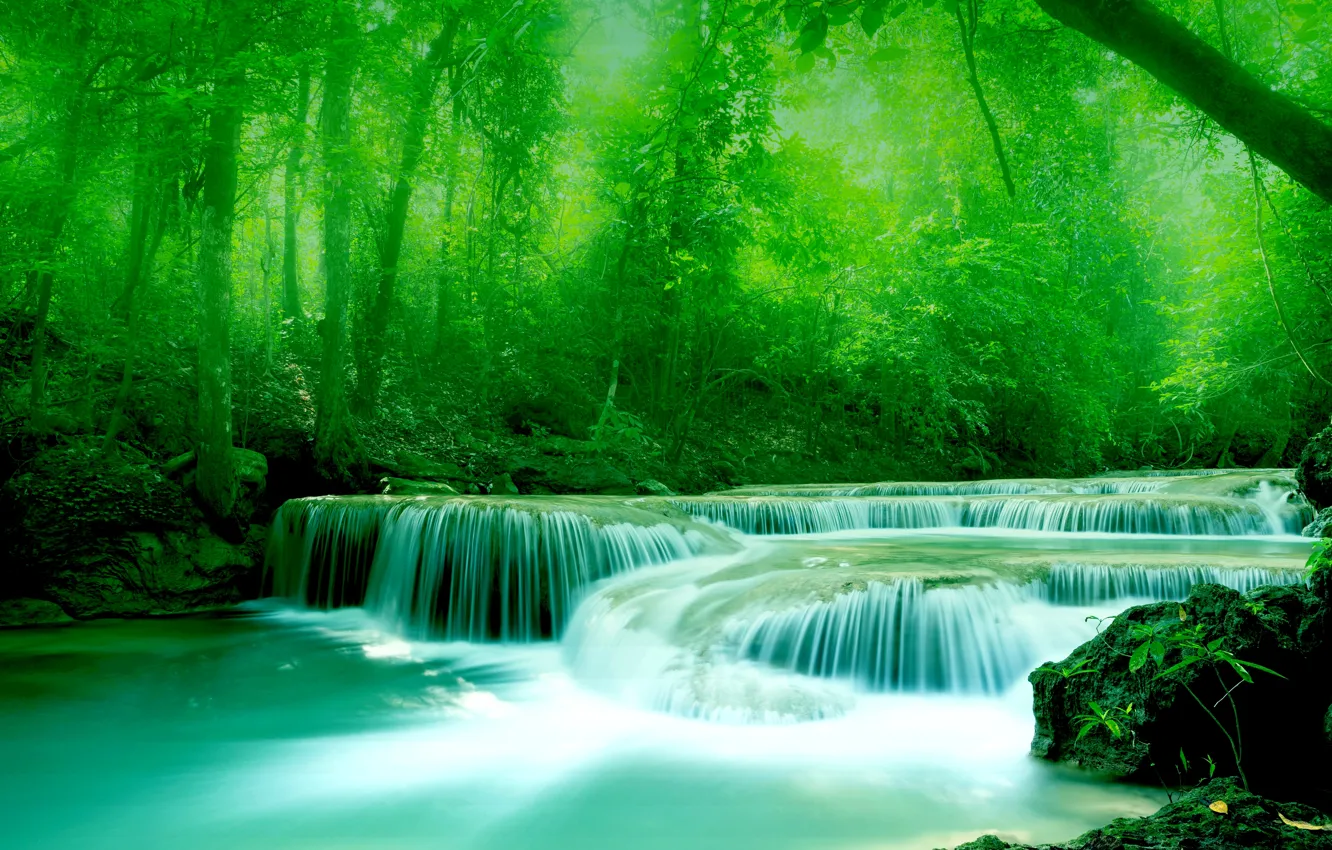 Photo wallpaper greens, water, trees, river, stones, foliage
