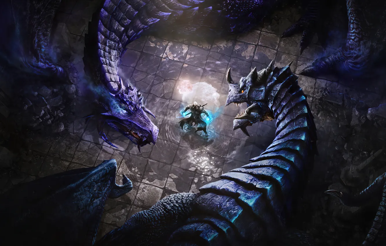 Photo wallpaper power, dragon, the game, power, rage, fighter, the battle, game