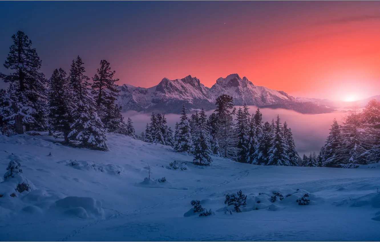 Photo wallpaper winter, snow, trees, landscape, sunset, mountains, nature, the snow