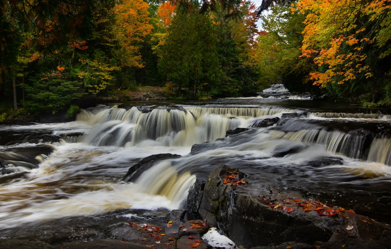 Photo wallpaper autumn, forest, river, waterfall, Michigan, cascade, Michigan, Bond Falls