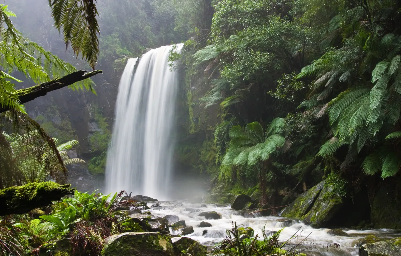 Photo wallpaper forest, nature, waterfall, mountain river