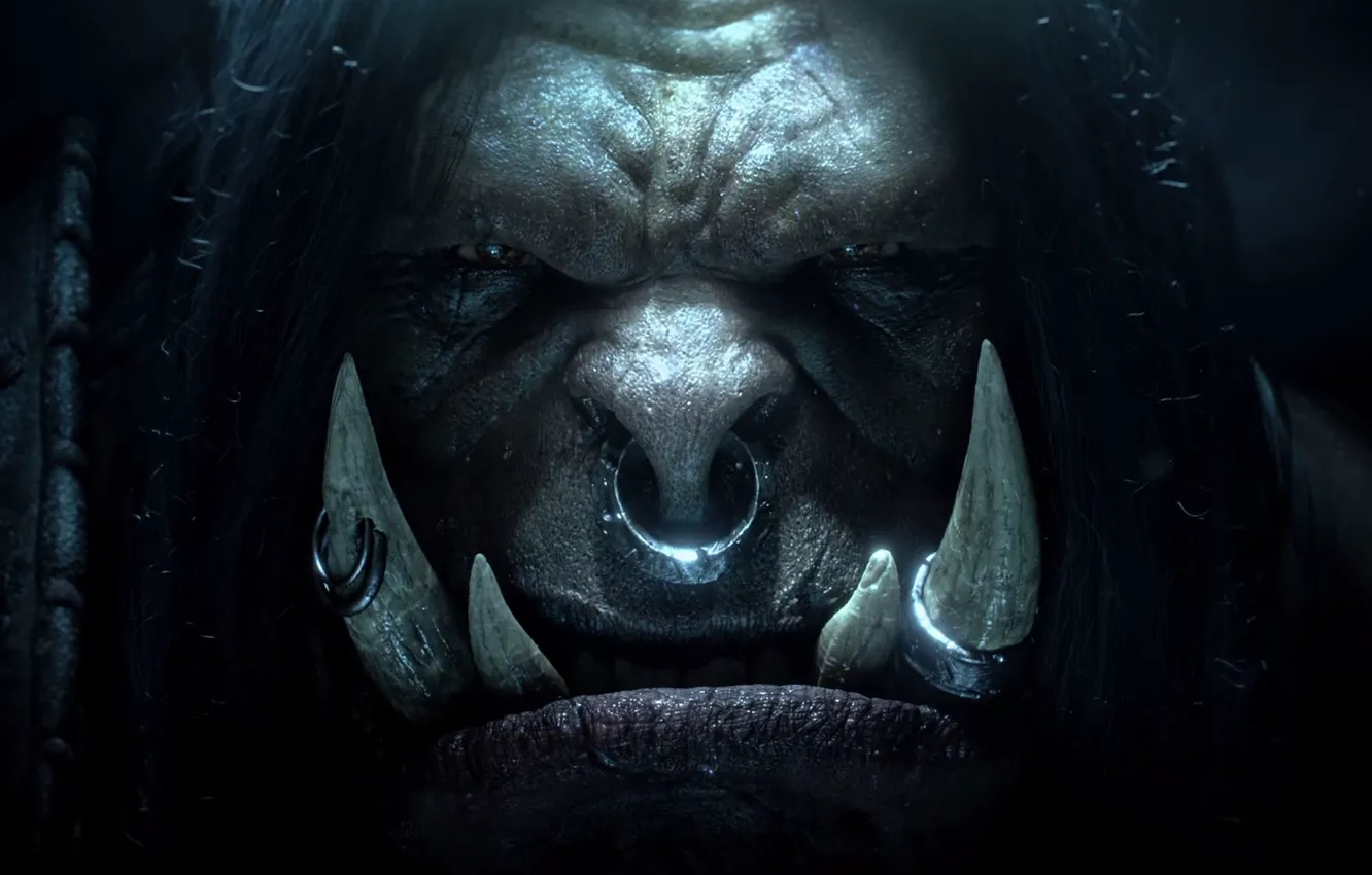 Photo wallpaper World of Warcraft, Wow, Grom Hellscream, Grommash, Grom Hellscream, Warlords of Draenor, Draenor