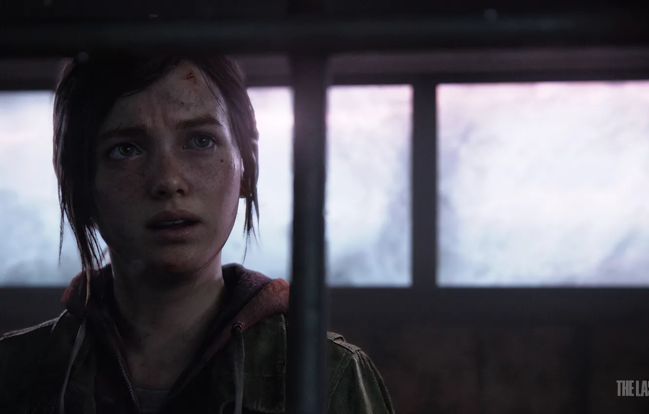 Photo wallpaper girl, The Last of Us, Naughty Dog, Some of us, Ellie, Game Art, Game Art, …